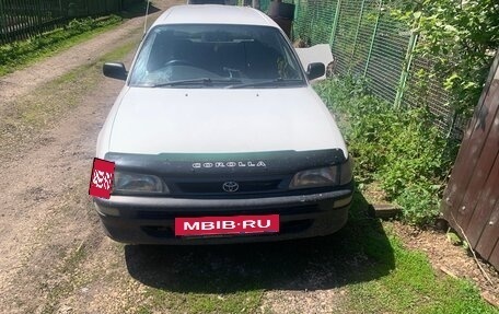 Toyota Corolla, 2002 год, 250 000 рублей, 13 фотография