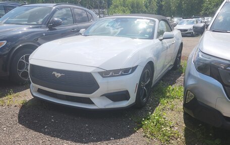 Ford Mustang, 2024 год, 6 200 000 рублей, 1 фотография