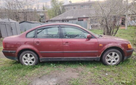 Volkswagen Passat B5+ рестайлинг, 1996 год, 380 000 рублей, 3 фотография
