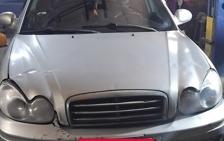 Hyundai Sonata IV рестайлинг, 2003 год, 280 000 рублей, 12 фотография