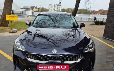 KIA Stinger I, 2021 год, 4 000 000 рублей, 21 фотография