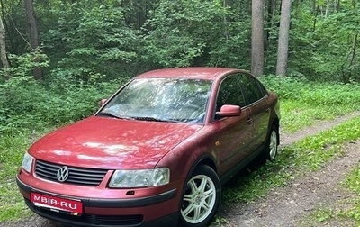 Volkswagen Passat B5+ рестайлинг, 1997 год, 380 000 рублей, 1 фотография
