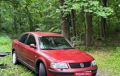 Volkswagen Passat B5+ рестайлинг, 1997 год, 380 000 рублей, 4 фотография