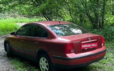 Volkswagen Passat B5+ рестайлинг, 1997 год, 380 000 рублей, 7 фотография
