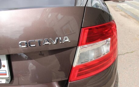 Skoda Octavia, 2013 год, 1 389 000 рублей, 12 фотография