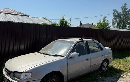 Toyota Corolla, 1996 год, 150 000 рублей, 4 фотография