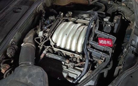 Volkswagen Passat B5+ рестайлинг, 2002 год, 700 000 рублей, 25 фотография