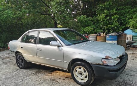Toyota Corolla, 1993 год, 50 000 рублей, 2 фотография