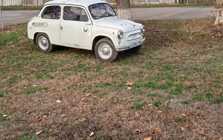 ЗАЗ 965, 1966 год, 200 000 рублей, 1 фотография