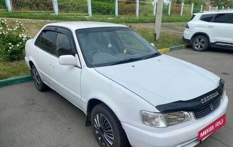 Toyota Corolla, 1997 год, 350 000 рублей, 3 фотография