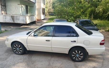 Toyota Corolla, 1999 год, 375 000 рублей, 3 фотография