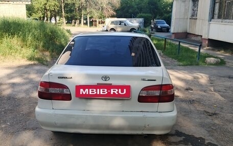 Toyota Corolla, 1999 год, 375 000 рублей, 4 фотография