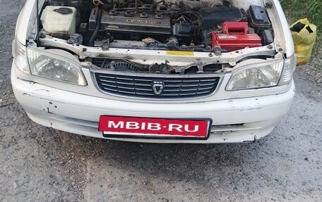 Toyota Corolla, 1999 год, 375 000 рублей, 5 фотография