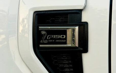 Ford F-150, 2023 год, 9 999 000 рублей, 10 фотография