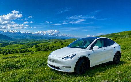 Tesla Model Y I, 2021 год, 2 фотография