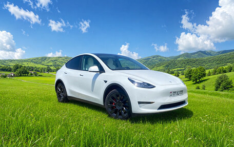 Tesla Model Y I, 2021 год, 3 фотография