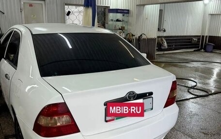 Toyota Corolla, 2002 год, 428 000 рублей, 3 фотография
