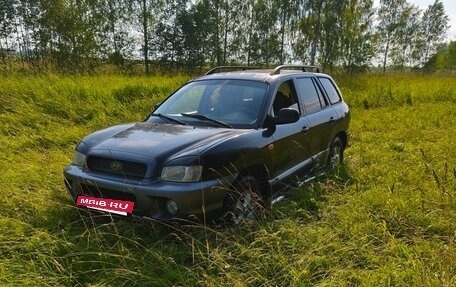 Hyundai Santa Fe III рестайлинг, 2002 год, 350 000 рублей, 7 фотография