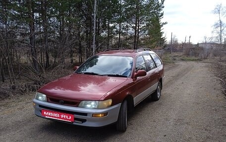Toyota Corolla, 1996 год, 305 000 рублей, 3 фотография