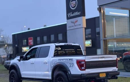 Ford F-150, 2025 год, 10 387 000 рублей, 4 фотография