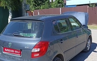Skoda Fabia II, 2010 год, 525 000 рублей, 1 фотография