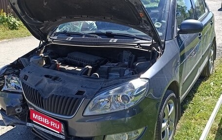 Skoda Fabia II, 2010 год, 525 000 рублей, 2 фотография