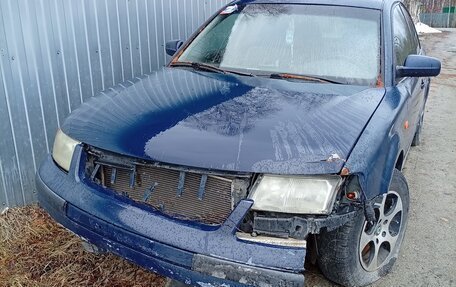 Volkswagen Passat B5+ рестайлинг, 1996 год, 250 000 рублей, 3 фотография
