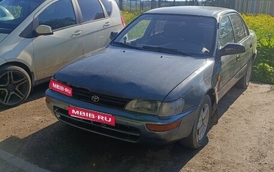 Toyota Corolla, 1994 год, 95 000 рублей, 1 фотография