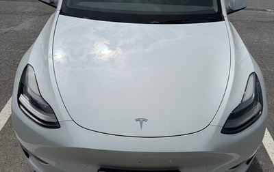Tesla Model Y I, 2024 год, 5 900 000 рублей, 1 фотография
