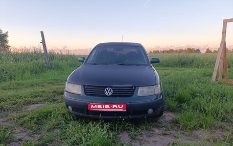 Volkswagen Passat B5+ рестайлинг, 1997 год, 200 000 рублей, 2 фотография