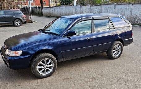 Toyota Corolla, 1999 год, 349 999 рублей, 3 фотография