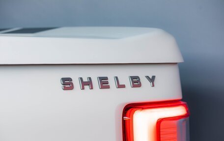 Ford F-150, 2023 год, 17 990 000 рублей, 13 фотография