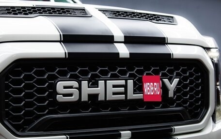 Ford F-150, 2023 год, 17 990 000 рублей, 9 фотография