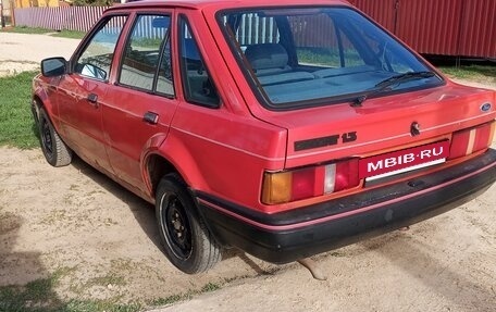 Ford Escort IV, 1987 год, 77 000 рублей, 5 фотография