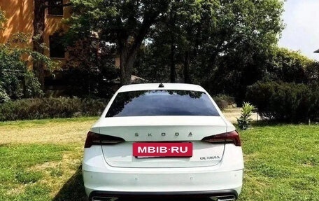 Skoda Octavia IV, 2026 год, 2 220 000 рублей, 11 фотография