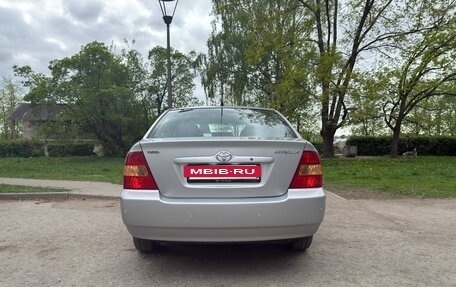 Toyota Corolla, 2003 год, 430 000 рублей, 3 фотография