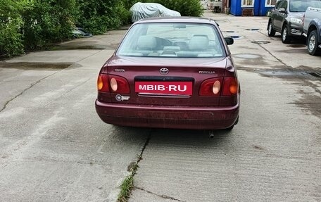 Toyota Corolla, 1998 год, 220 000 рублей, 4 фотография