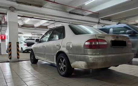 Toyota Corolla, 1997 год, 350 000 рублей, 4 фотография