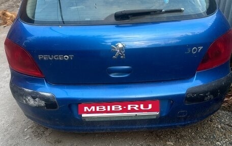 Peugeot 307 I, 2004 год, 99 000 рублей, 2 фотография