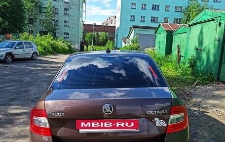 Skoda Octavia, 2014 год, 1 350 000 рублей, 5 фотография