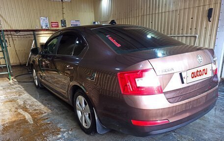 Skoda Octavia, 2014 год, 1 350 000 рублей, 31 фотография