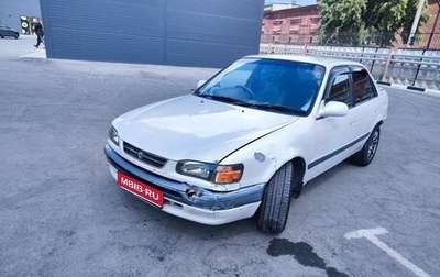 Toyota Corolla, 1996 год, 190 000 рублей, 1 фотография