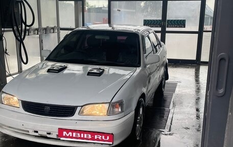 Toyota Corolla, 1999 год, 270 000 рублей, 3 фотография