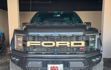 Ford F-150, 2025 год, 17 000 000 рублей, 1 фотография