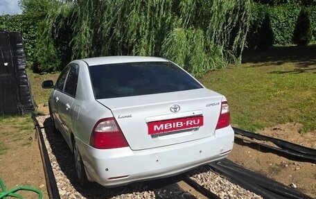 Toyota Corolla, 2004 год, 625 000 рублей, 4 фотография