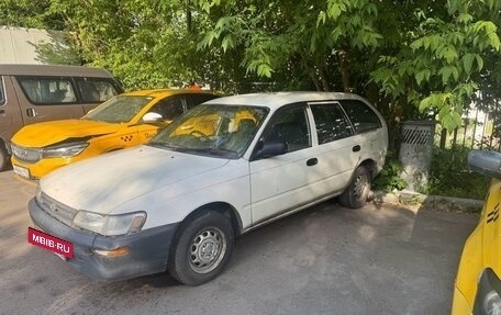 Toyota Corolla, 1999 год, 130 000 рублей, 2 фотография