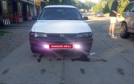 Toyota Corolla, 2001 год, 420 000 рублей, 4 фотография