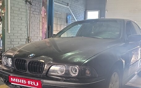 BMW 5 серия, 1996 год, 250 000 рублей, 5 фотография