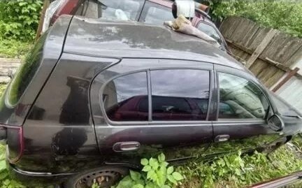 Nissan Almera, 2006 год, 60 000 рублей, 5 фотография