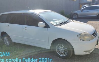 Toyota Corolla, 2001 год, 600 000 рублей, 1 фотография